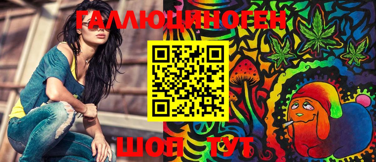 Галлюциногенные грибы Psilocybe Гуково