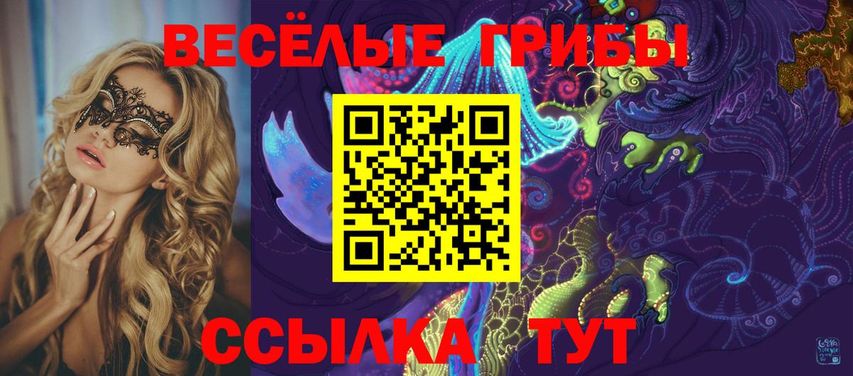 Галлюциногенные грибы MAGIC MUSHROOMS  Вход с VPN  Гуково 
